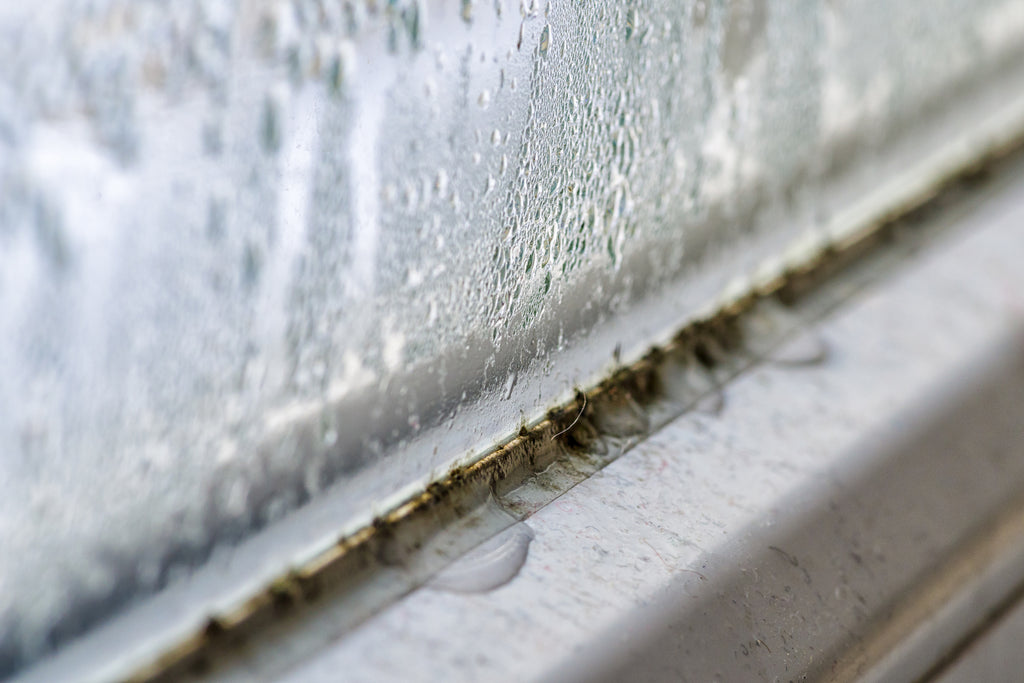 Schimmel an Fensterdichtung und -gummi richtig entfernen