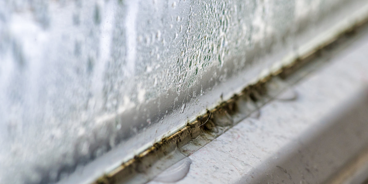 Wie Bekommt Man Schimmel Am Fenstergummi Weg zauberfein.at